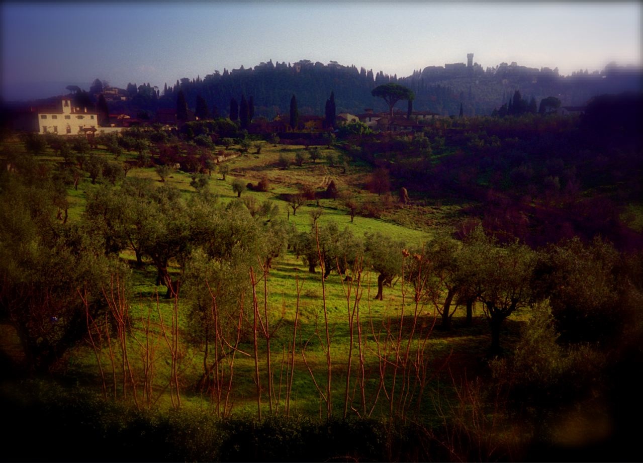 e0044929_8781.jpg