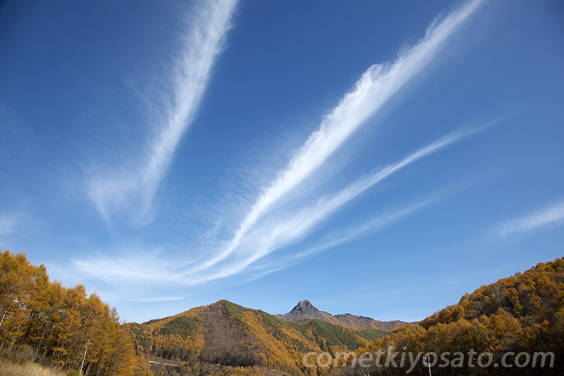 今週のおすすめ紅葉_b0179231_0282438.jpg