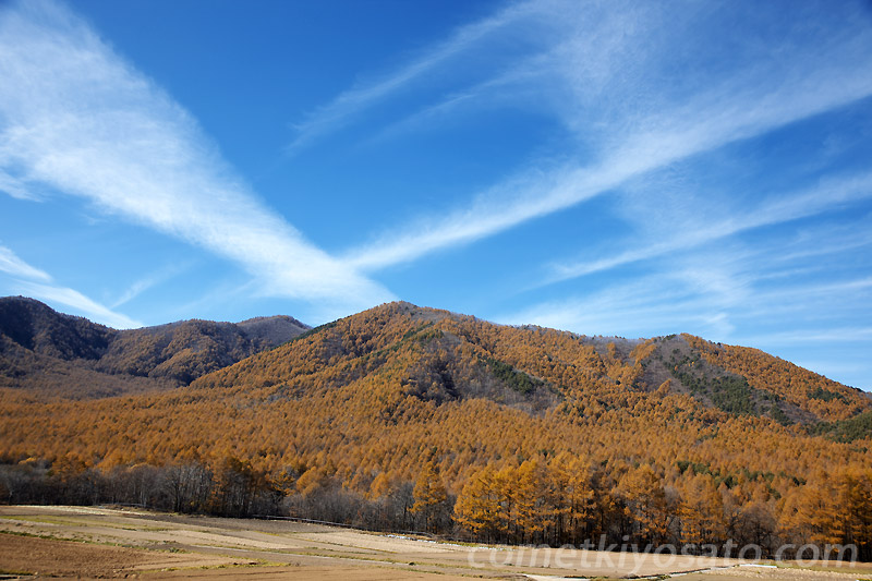 今週のおすすめ紅葉_b0179231_0285732.jpg