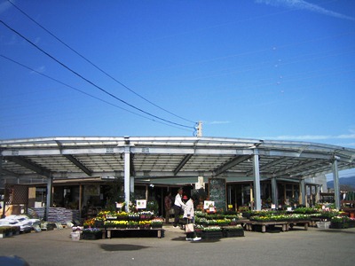 c0118235_23503648.jpg