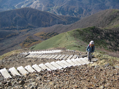 a0158236_12502458.jpg