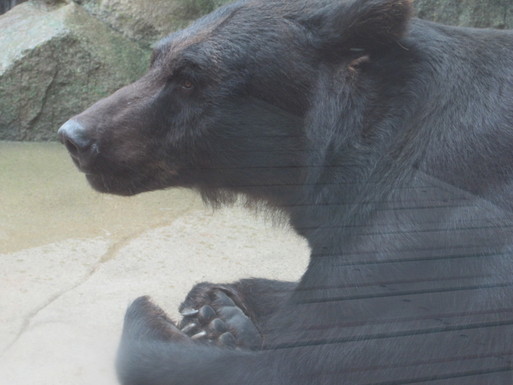 e0201737_23193149.jpg