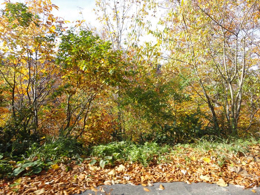 c0206739_21492227.jpg