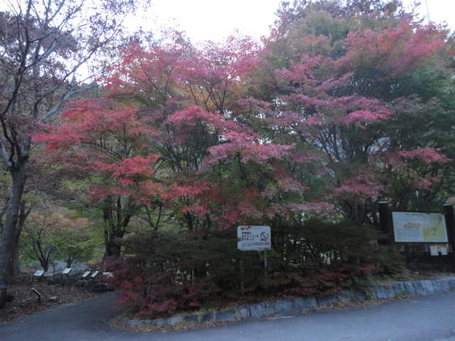 山岳遭難防止対策_a0048040_20324094.jpg