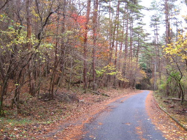 b0149340_21532551.jpg