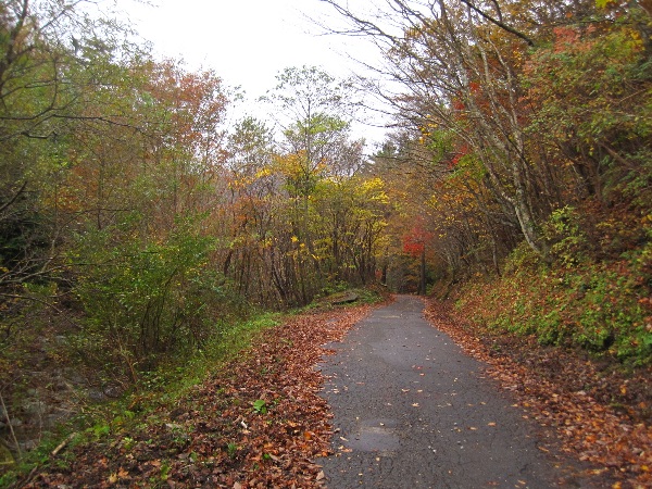 b0149340_2204263.jpg