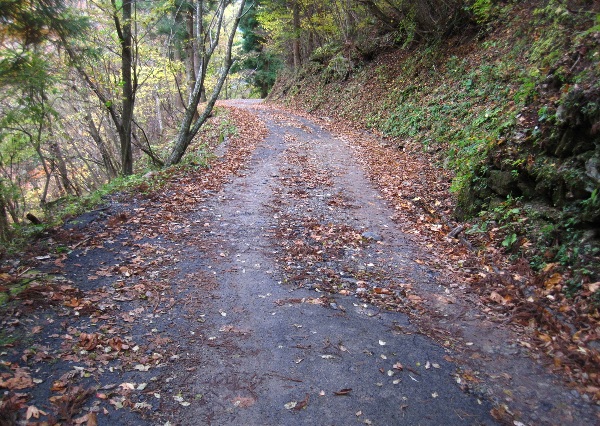 b0149340_2214586.jpg