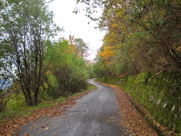 b0149340_22171062.jpg