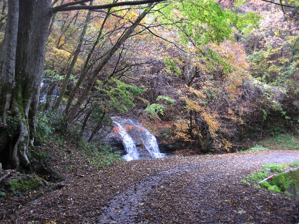 b0149340_2242741.jpg
