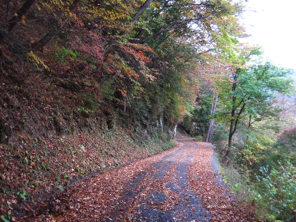 b0149340_2255868.jpg