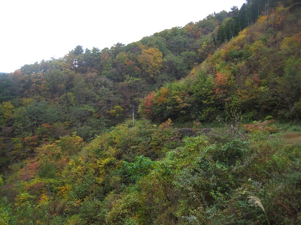 b0149340_2264345.jpg