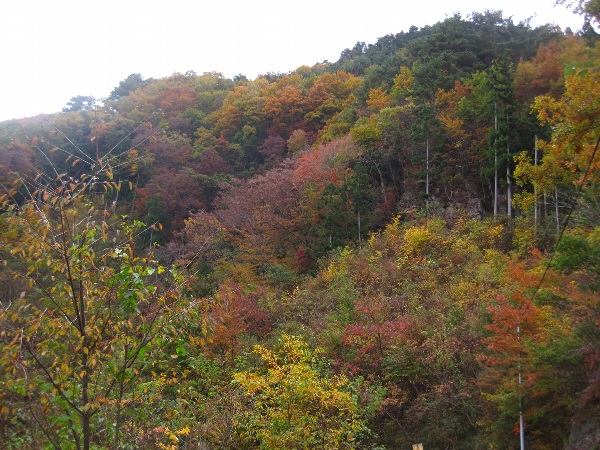 b0149340_2291789.jpg