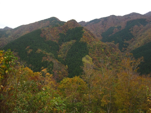b0149340_2294075.jpg