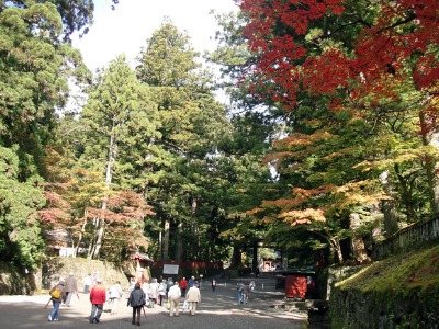 e0110940_935334.jpg