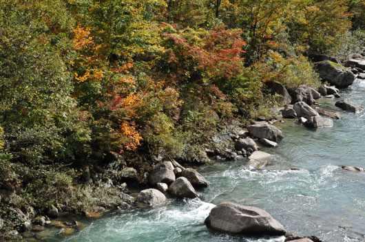 c0093046_972242.jpg