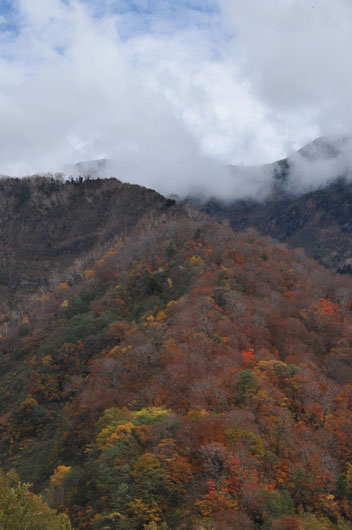 c0093046_973950.jpg