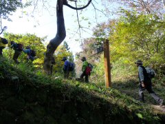 紅葉の碓井峠(前編)_f0019247_1830890.jpg