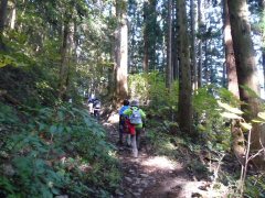 紅葉の碓井峠(前編)_f0019247_18312563.jpg