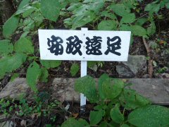 紅葉の碓井峠(前編)_f0019247_18314744.jpg