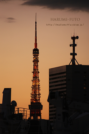 東京ベイエリアの夕日。_d0124248_11115593.jpg