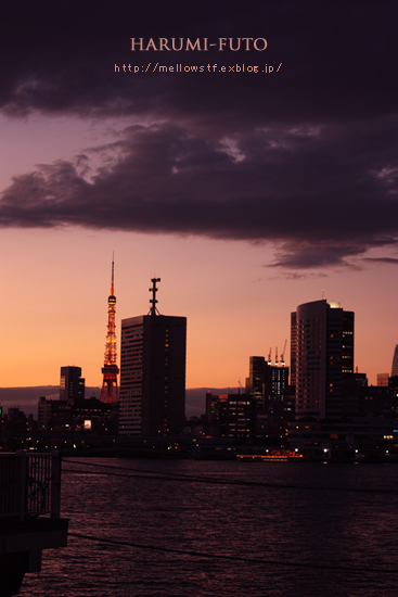 東京ベイエリアの夕日。_d0124248_1173359.jpg