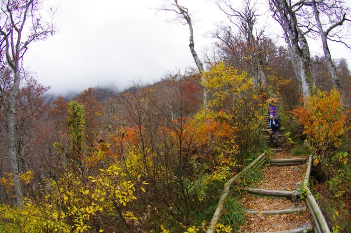 伯耆大山登山２０１１秋_a0009554_2262536.jpg