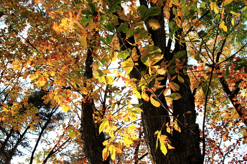 b0223754_20585239.jpg