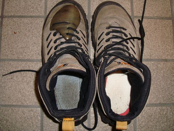 スニーカーのかかと修理 笑わせるなよ泣けるじゃないか スニーカーのかかと修理 笑わせるなよ泣けるじゃないか