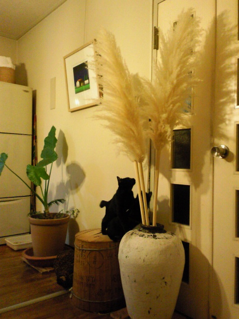 f0054859_925297.jpg