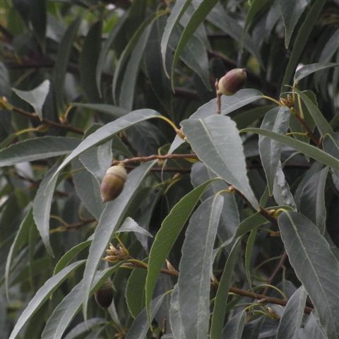 a0123465_2319886.jpg