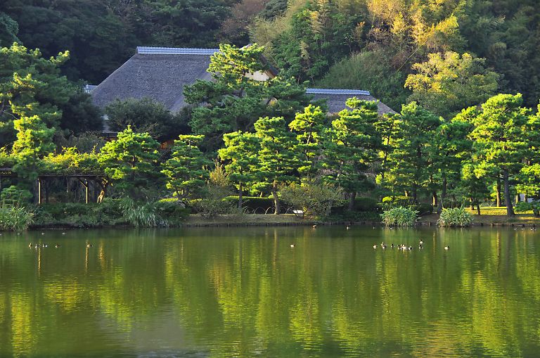 横浜　三溪園（１０月３１日）_c0057265_2403247.jpg