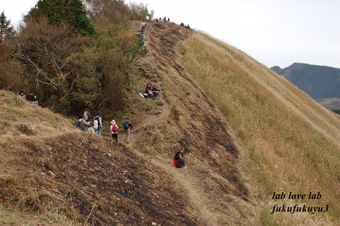 すすきの山_b0196568_20404778.jpg