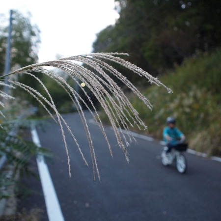 Pアシスト自転車のある生活_c0122670_17325751.jpg