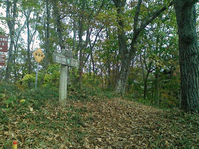 d0233770_22274998.jpg