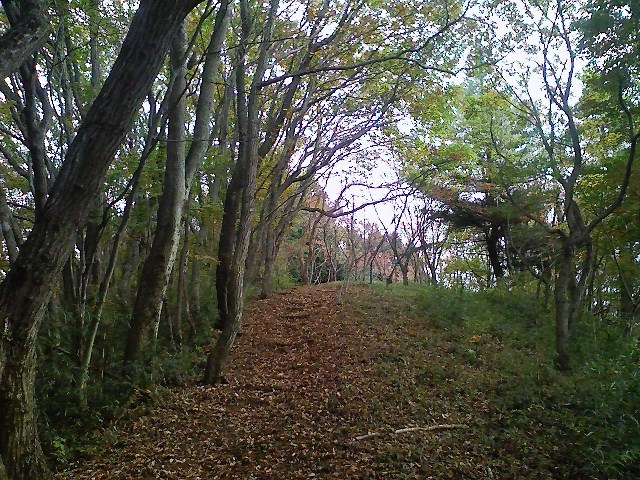 2011/11/03　熊倉山　軍荼利山_d0233770_22302729.jpg