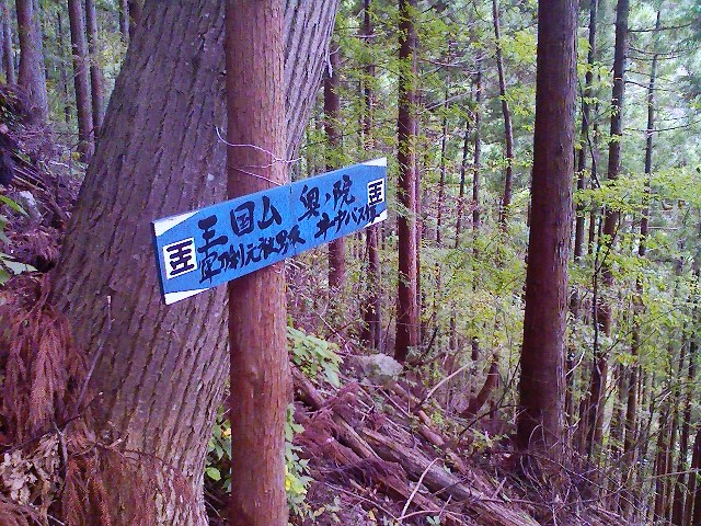 2011/11/03　熊倉山　軍荼利山_d0233770_2231451.jpg