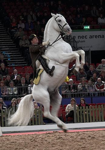 a0123372_83474.jpg
