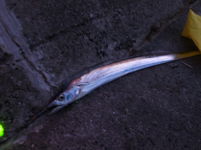 e0139376_22271422.jpg