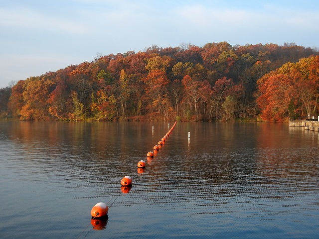 a0124077_864760.jpg