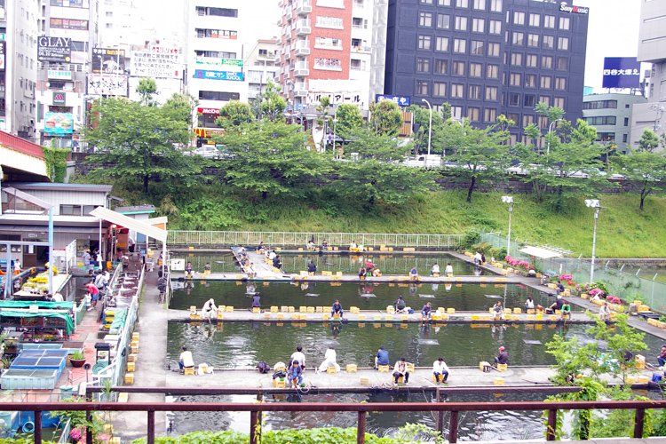 都心の釣堀_f0130879_22415020.jpg