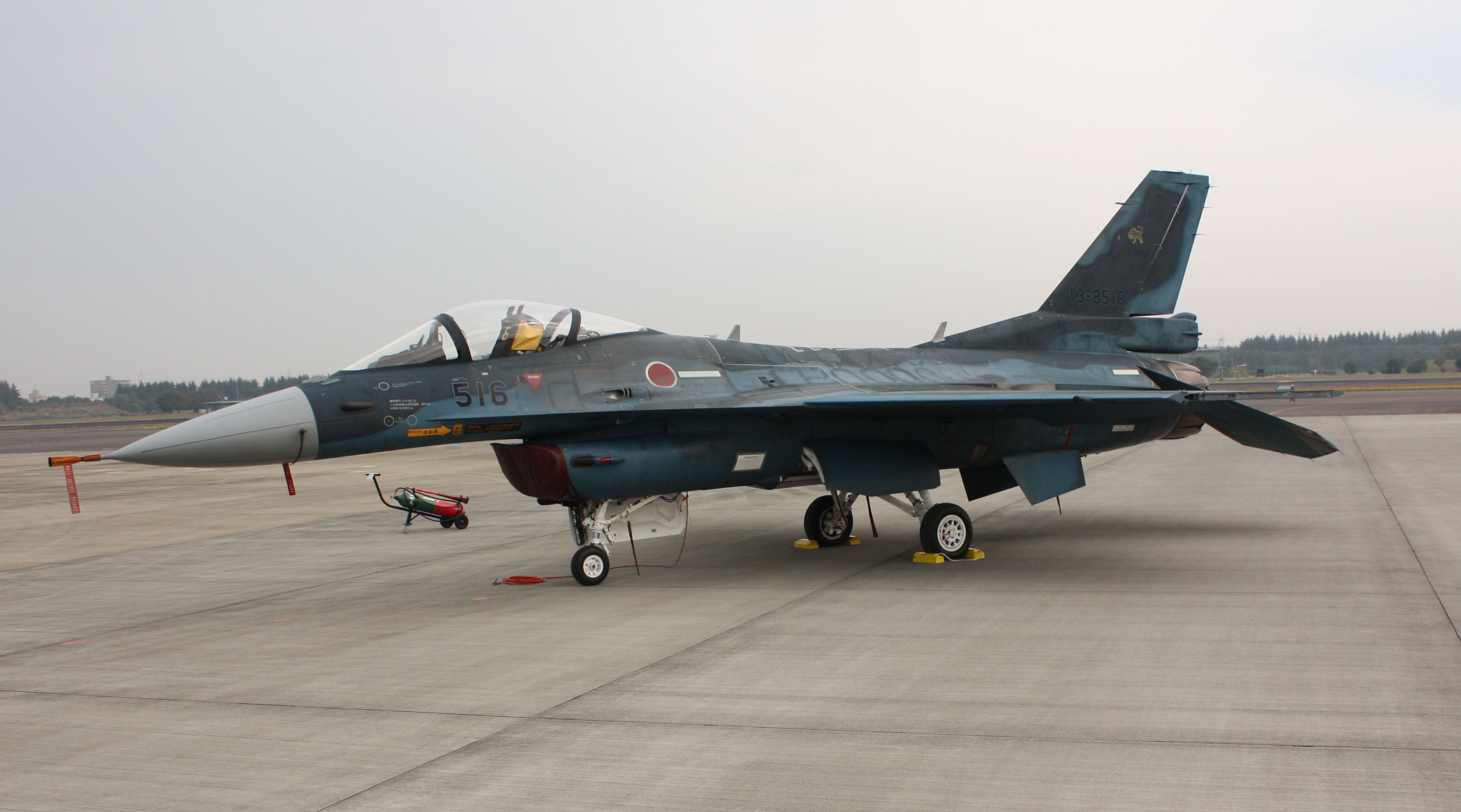 入間航空祭　その２_a0216086_23201261.jpg