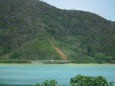 e0028387_714642.jpg