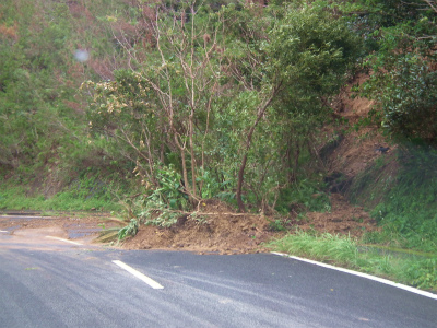 e0028387_784033.jpg