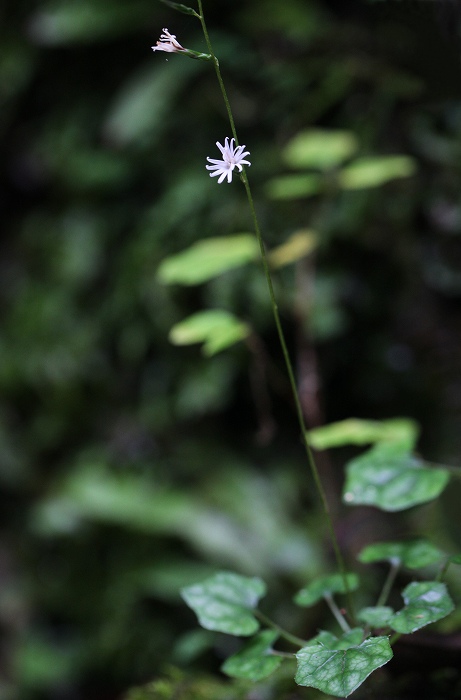 f0000789_2083612.jpg