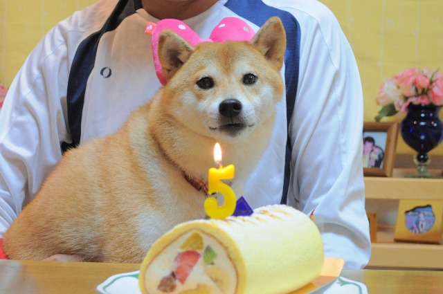 ありがとう、かぼちゃん。_a0126590_11461367.jpg