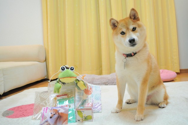 ありがとう、かぼちゃん。_a0126590_11585499.jpg