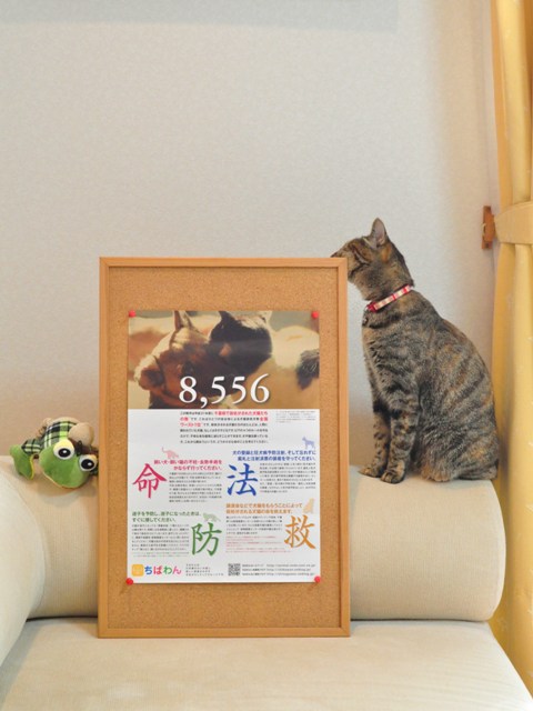 ありがとう、かぼちゃん。_a0126590_1295878.jpg