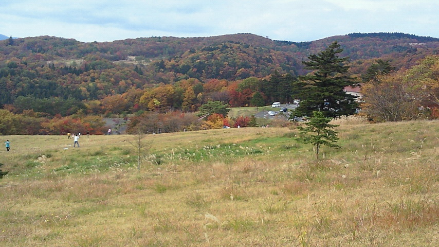 a0233991_20464099.jpg