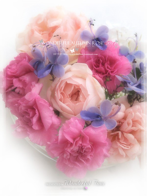 ☆ Wonderful Autumn Rose 2011 ☆_a0108795_0504898.jpg