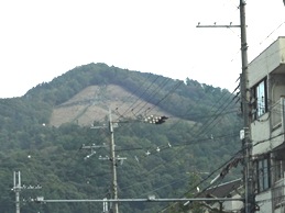 b0146196_22274785.jpg